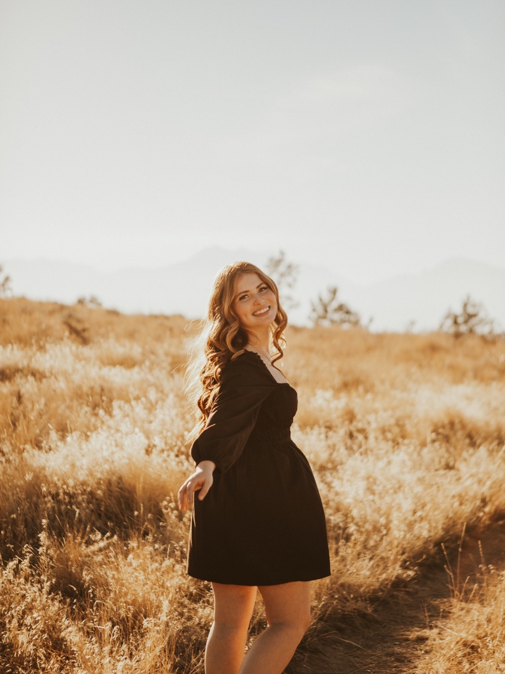 Gianni Bini Espresso Brown Long Sleeve Mini Dress